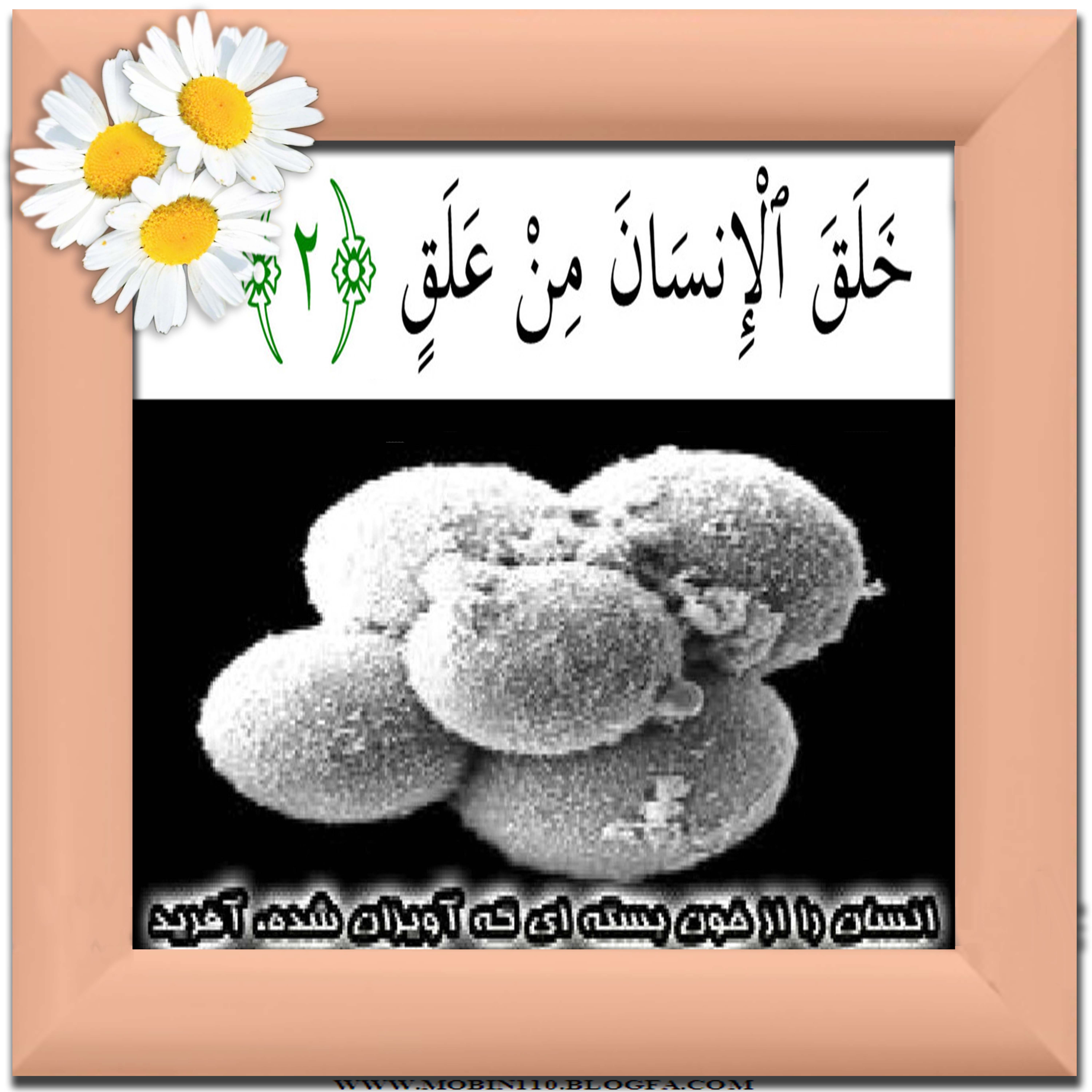 کارت سوره مبارکه علق، نقاشی سوره مبارکه علق 