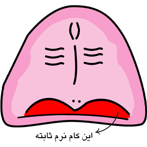 خط دمیدن