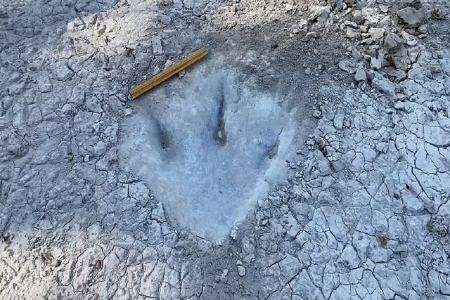 کشف ردپای دایناسور 113 میلیون ساله در تگزاس بعد از خشکسالی