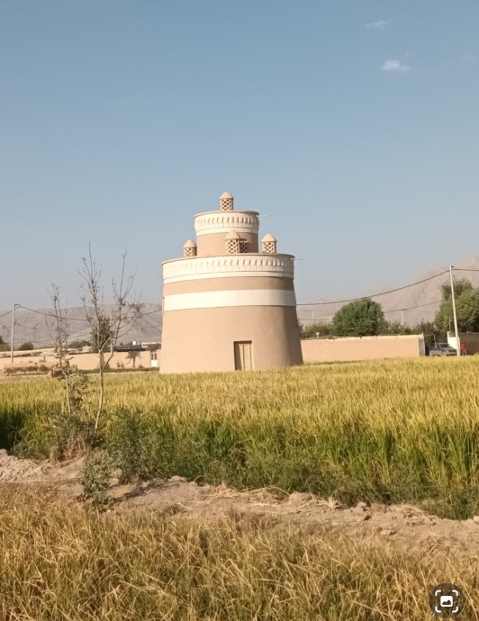 باغ برجی زرین شهر در میان شالیزار