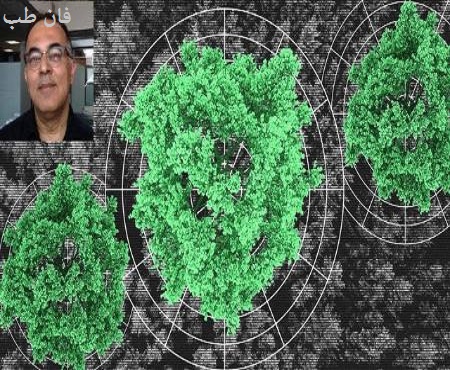 عکس مطلب طرح دانشمند ایرانی ناسا برای ردیابی کربن ذخیره‌شده در درختان