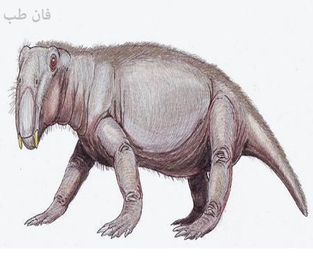 عکس مطلب خوکِ دوران دایناسورها چه شکلی بوده است