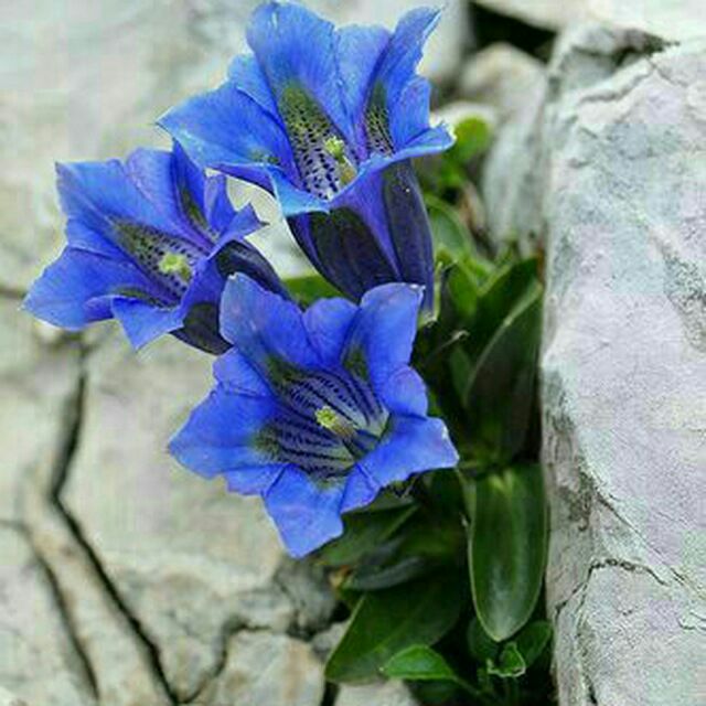 https://s24.picofile.com/file/8454203292/photo_2022_10_16_15_21_59.jpg