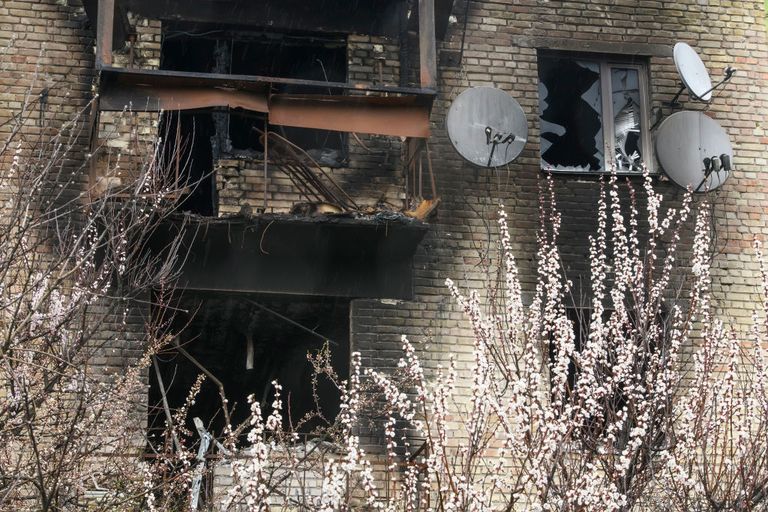 اینترنت ماهواره ای