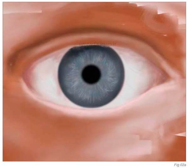 آموزش نقاشی دیجیتال از چشم انسان در فتوشاپ 